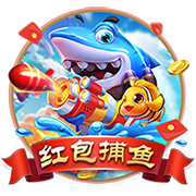 星空足球入口在线版