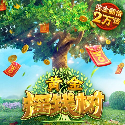 星空足球入口桌面版客户端