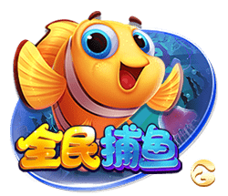 星空足球入口安卓最新版